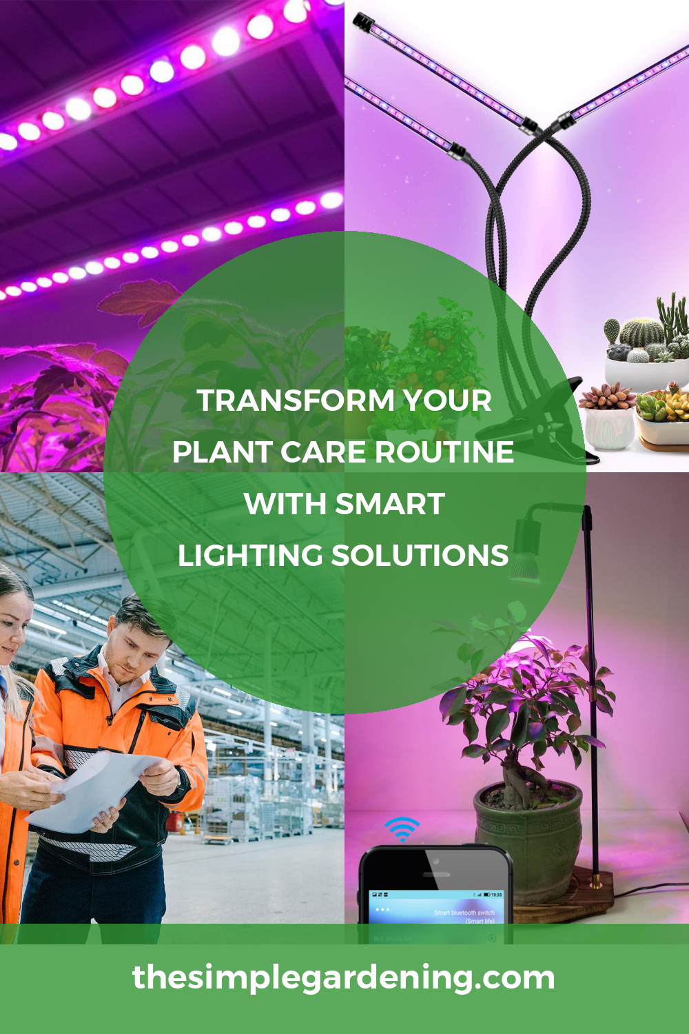 Transform Your Plant Care Routine with Smart Lighting Solutions